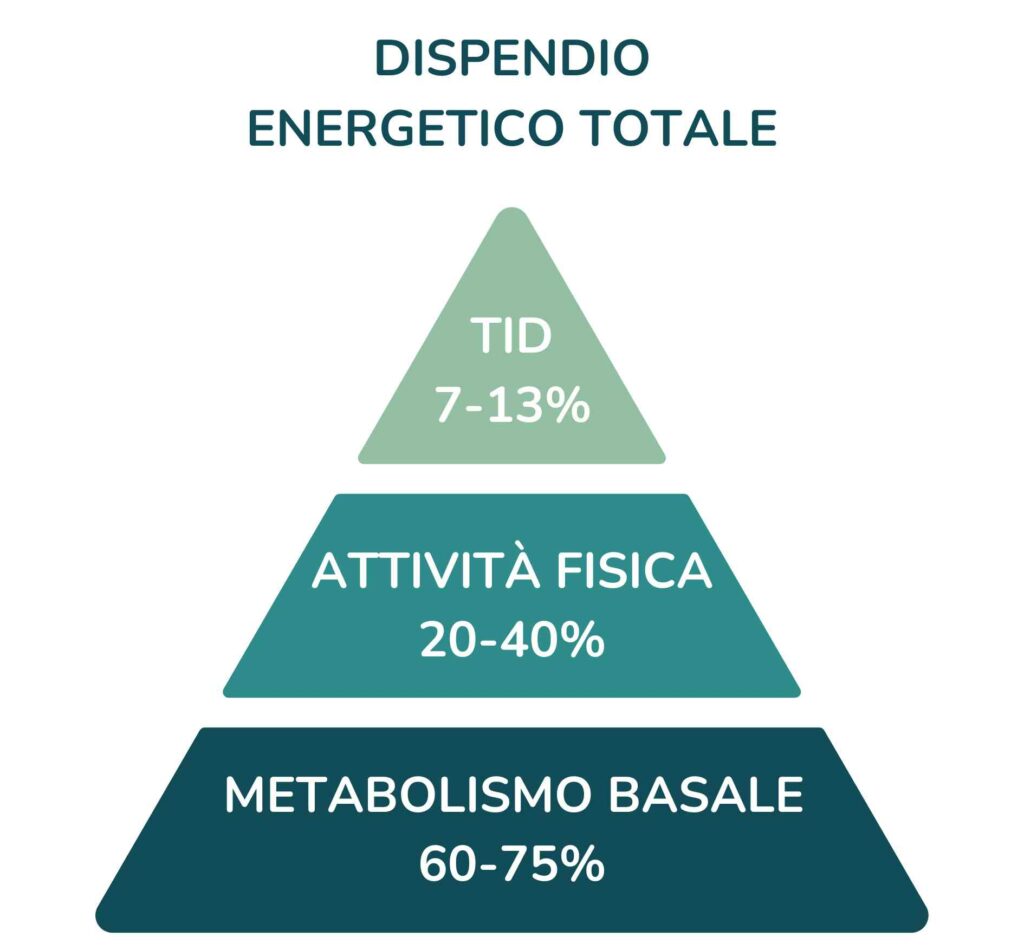 calcolo dispendio energetico