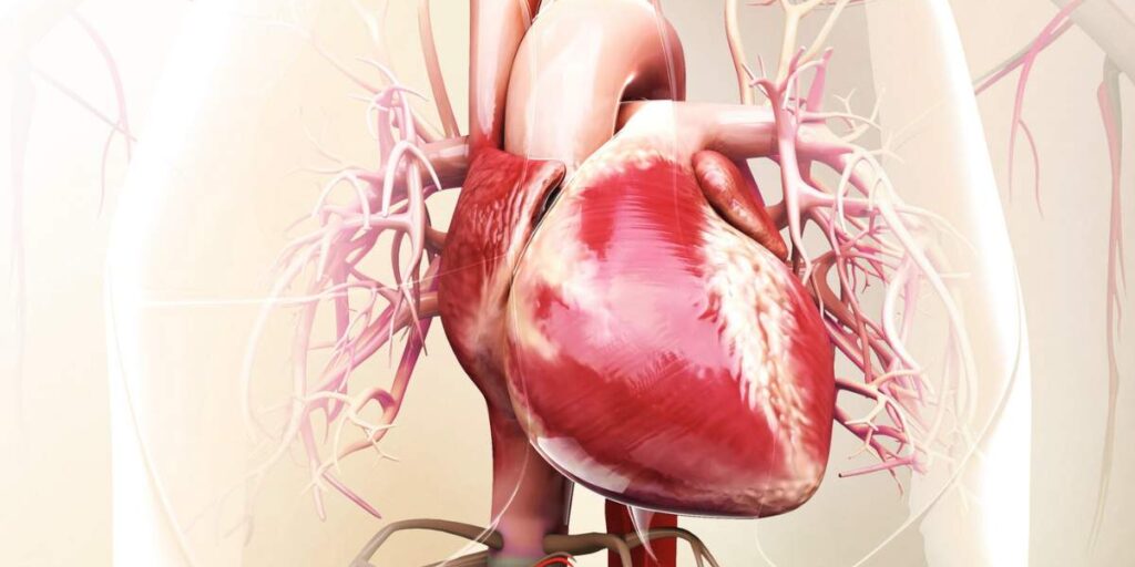 salute cardiovascolare